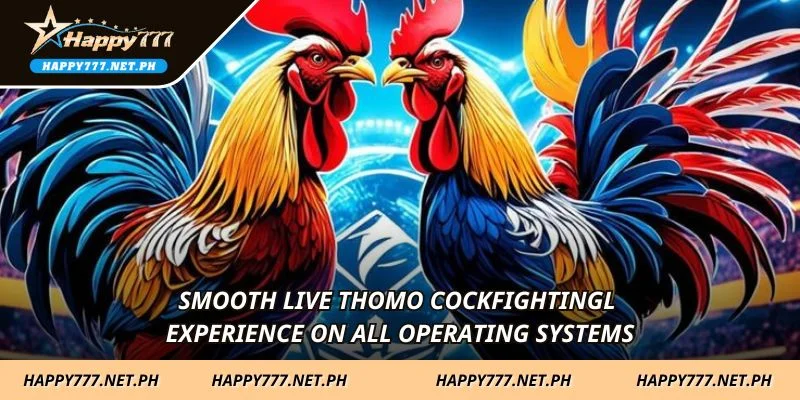 Smooth live thomo cockfightingl experience on all operating systems