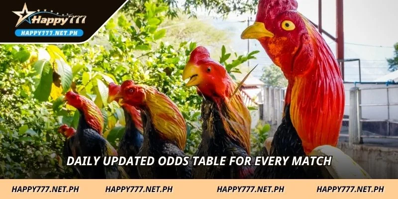 Daily updated odds table for every match