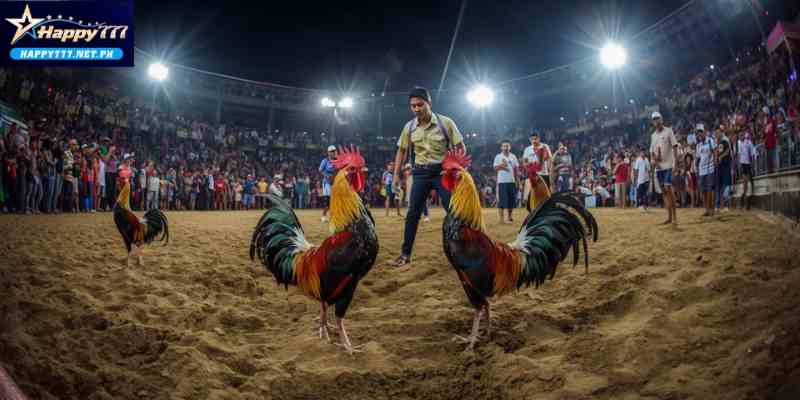sabong live streaming arena Philippines with real-time cockfighting action