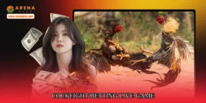Cockfight betting live game