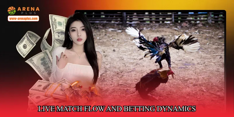 Live match flow and betting dynamics
