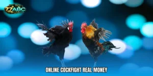 Online Cockfight real money