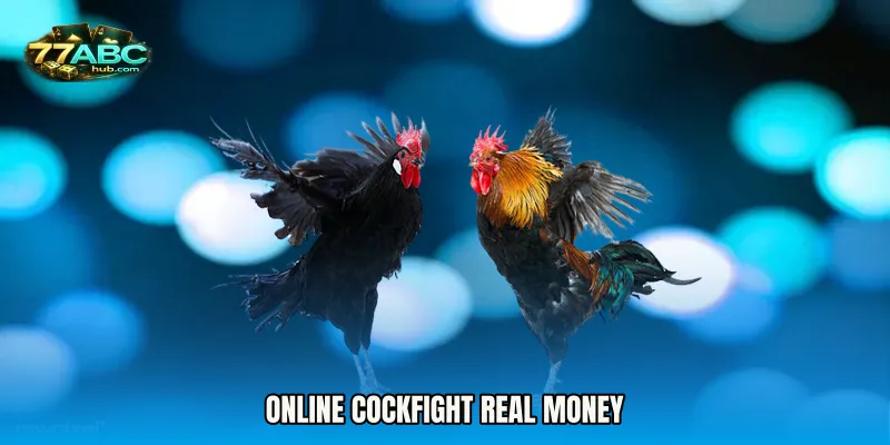 Online Cockfight real money