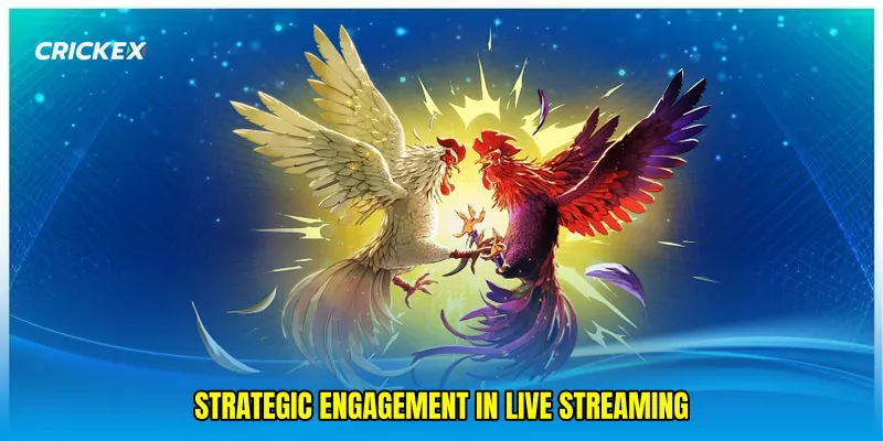 Strategic engagement in live streaming