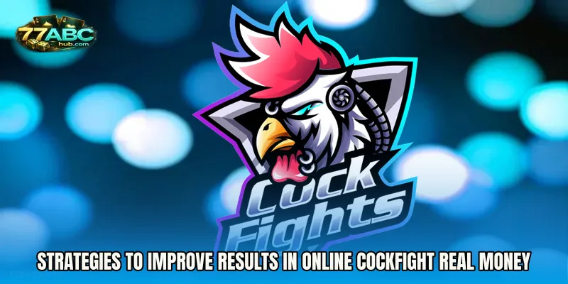 Strategies to Improve Results in Online Cockfight Real Money